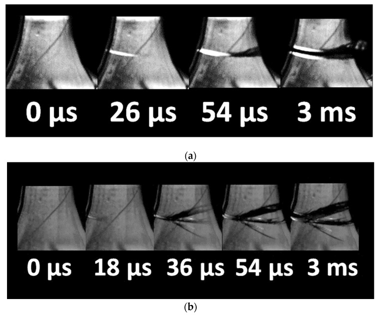 PMC9457571 – molecules-27-05375-f008