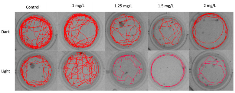 PMC9458094 – molecules-27-05506-f005