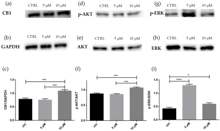 PMC9457834 – molecules-27-05644-f005