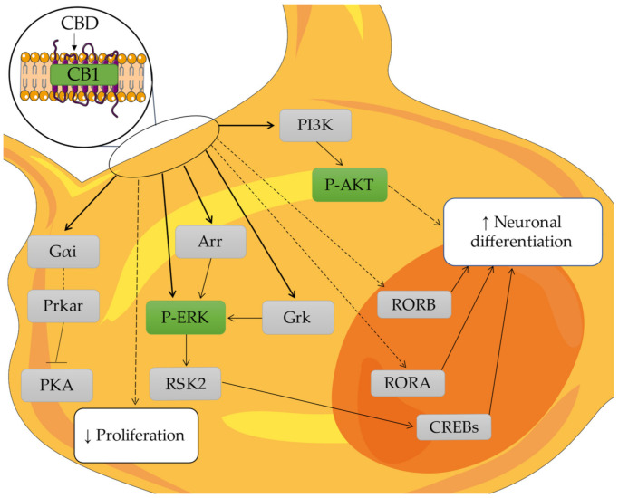 PMC9457834 – molecules-27-05644-f006