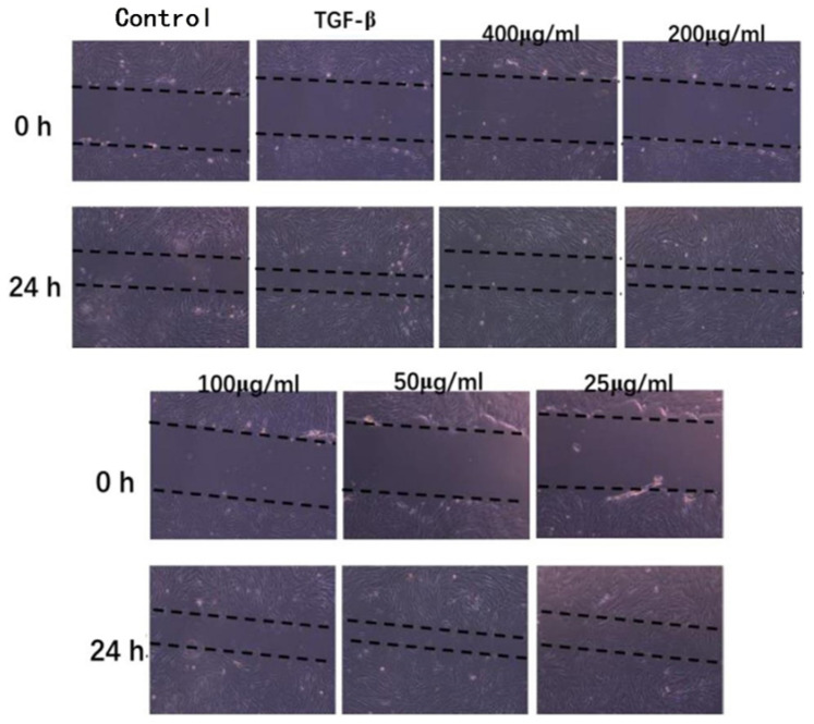 PMC9503781 – molecules-27-05746-f006