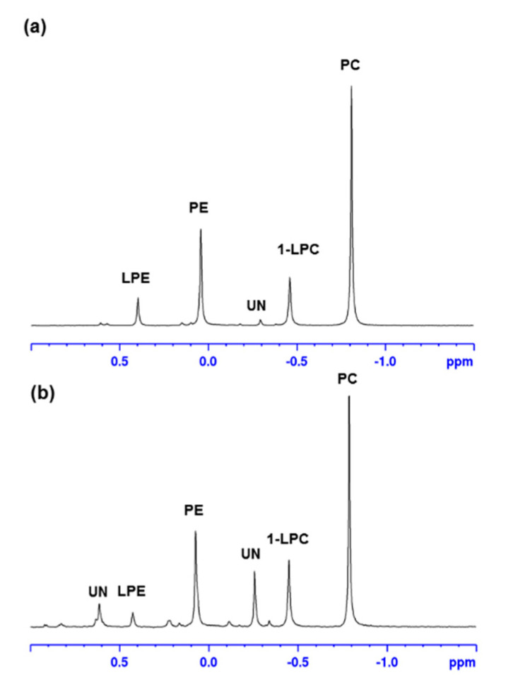 PMC9503808 – molecules-27-05856-f003