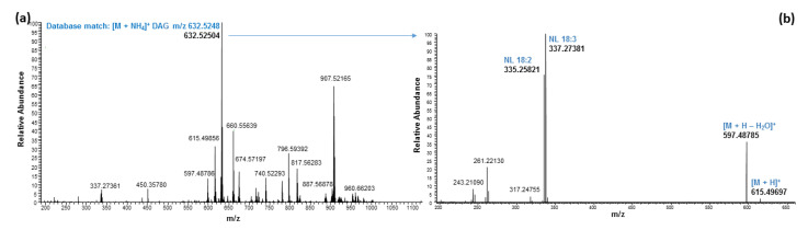 PMC9503808 – molecules-27-05856-f005