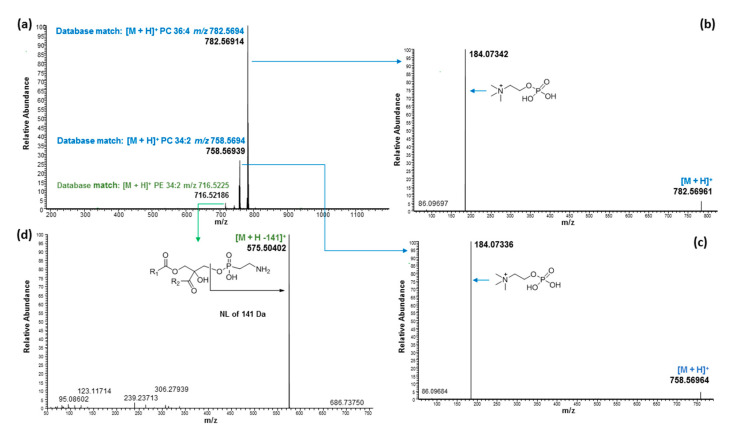 PMC9503808 – molecules-27-05856-f006