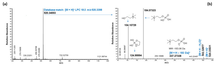 PMC9503808 – molecules-27-05856-f008