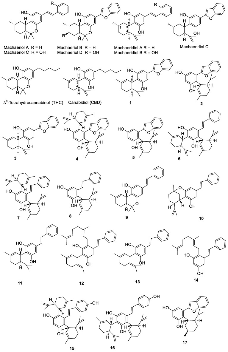 PMC9570708 – molecules-27-06604-f001