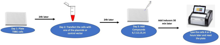 PMC9570708 – molecules-27-06604-sch005