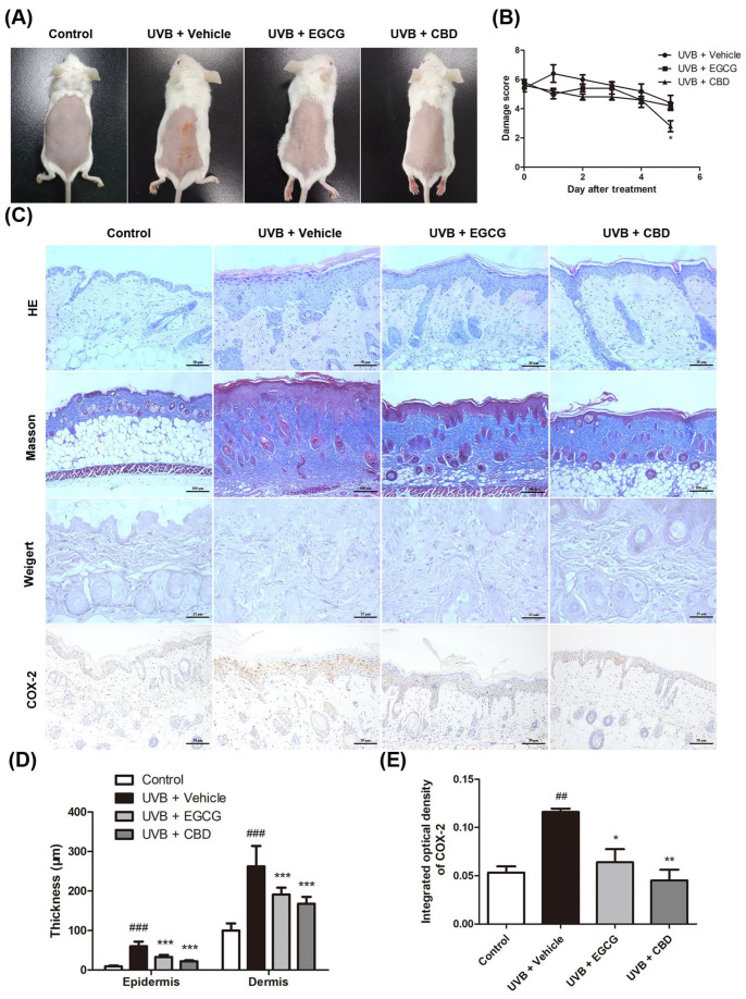 PMC9572435 – molecules-27-06740-f005