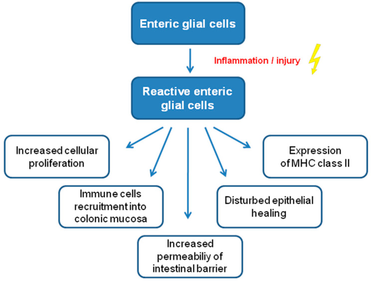 PMC9570628 – molecules-27-06773-f002