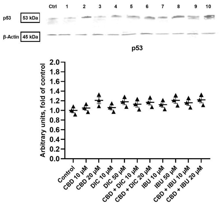 PMC9781989 – molecules-27-08779-f003