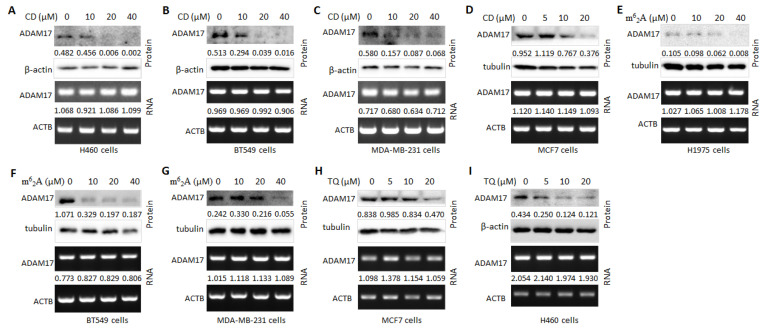 PMC9781528 – molecules-27-09044-f002