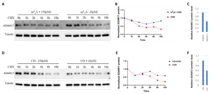 PMC9781528 – molecules-27-09044-f003