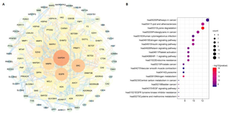 PMC9781528 – molecules-27-09044-f004