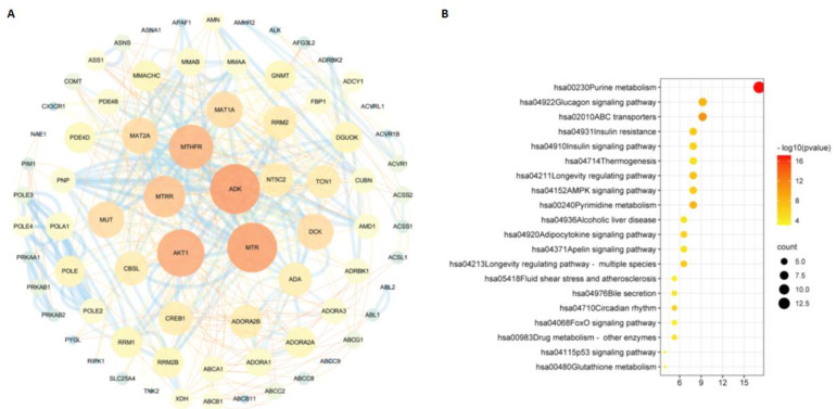 PMC9781528 – molecules-27-09044-f006