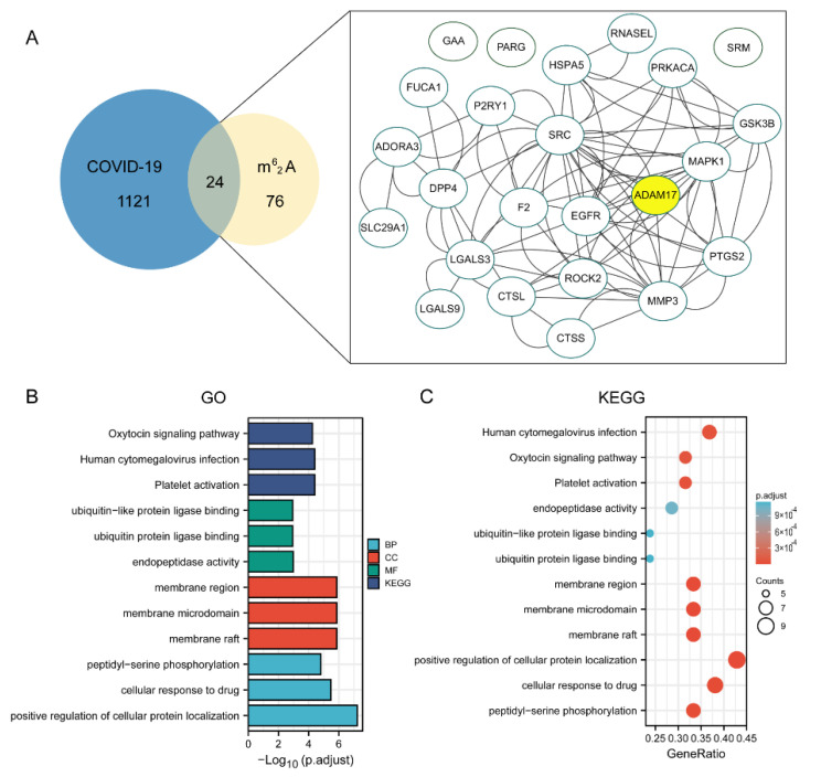 PMC9781528 – molecules-27-09044-f007