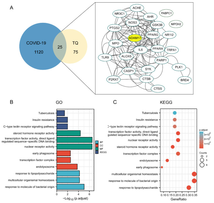 PMC9781528 – molecules-27-09044-f008