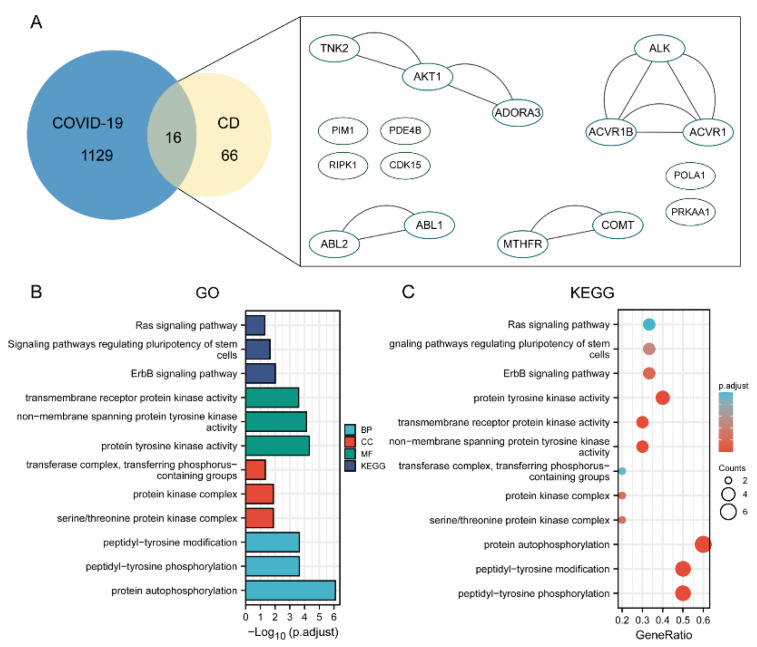 PMC9781528 – molecules-27-09044-f009