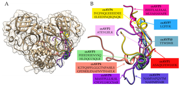 PMC9822321 – molecules-28-00050-f004