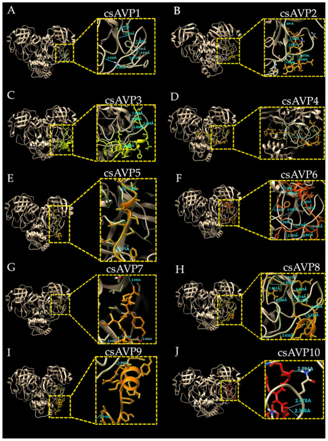 PMC9822321 – molecules-28-00050-f005