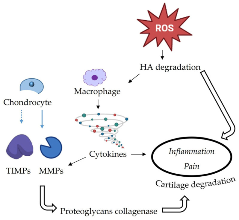 PMC9822121 – molecules-28-00106-f002