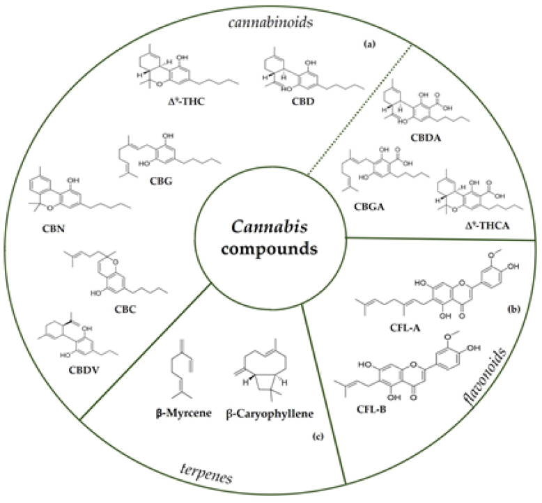 PMC9822121 – molecules-28-00106-f003
