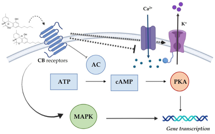 PMC9822121 – molecules-28-00106-f004