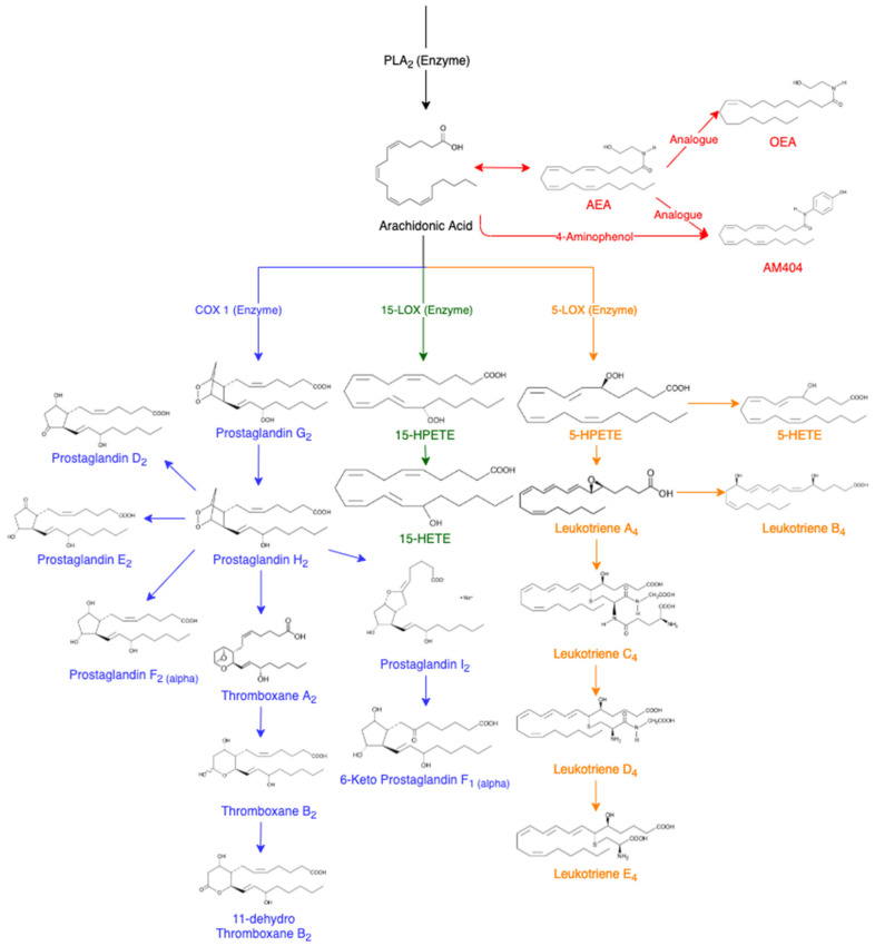 PMC9822433 – molecules-28-00312-f001