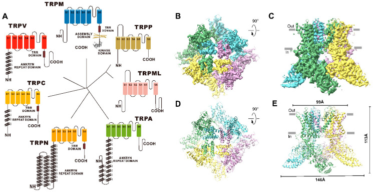 PMC9865980 – molecules-28-00774-f001