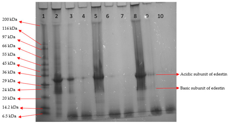 PMC9921050 – molecules-28-00915-f004