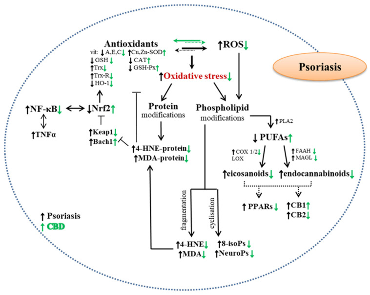 PMC9920113 – molecules-28-01192-f002