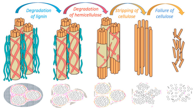PMC9963550 – molecules-28-01868-f005