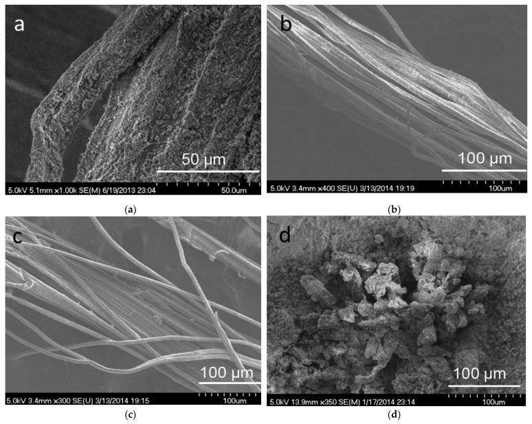 PMC9963550 – molecules-28-01868-f006