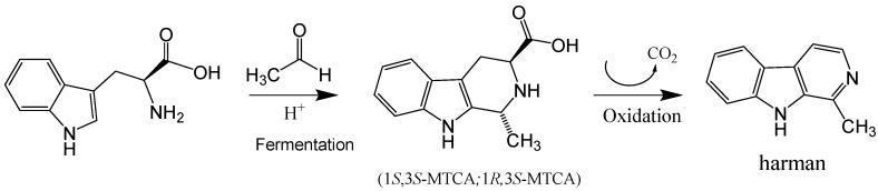 PMC10053526 – molecules-28-02723-f006
