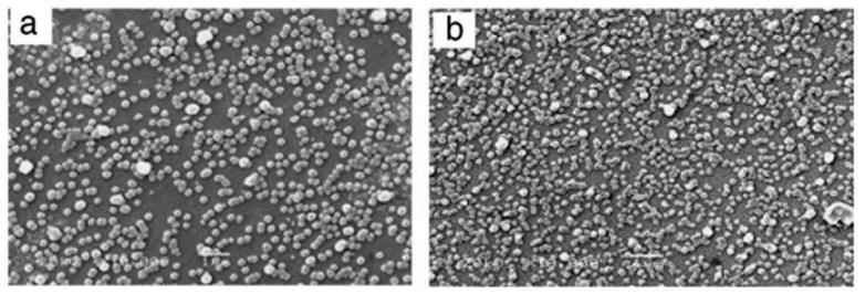 PMC10055924 – molecules-28-02780-f012
