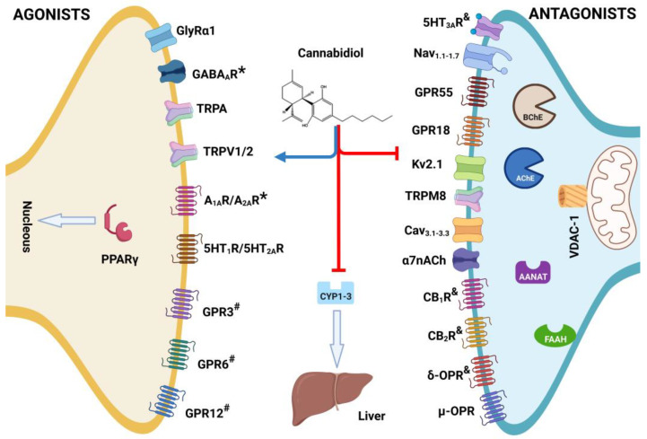 PMC10096752 – molecules-28-03271-f003