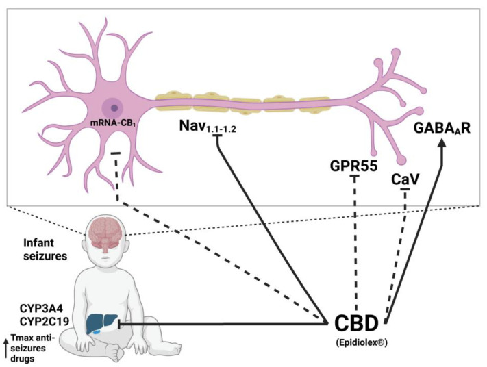 PMC10096752 – molecules-28-03271-f004