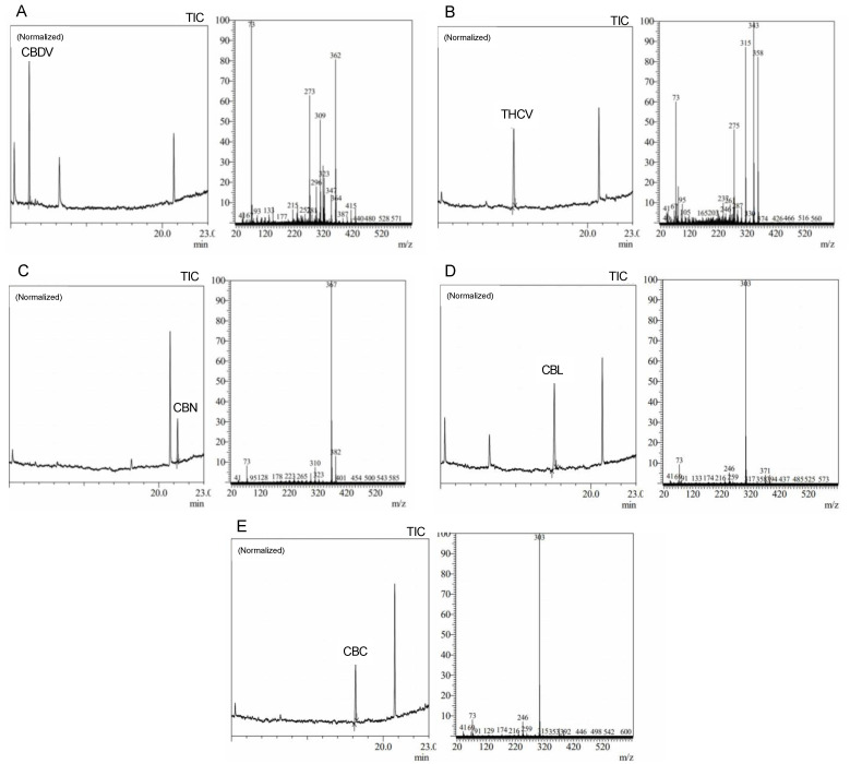 PMC10143857 – molecules-28-03552-f002