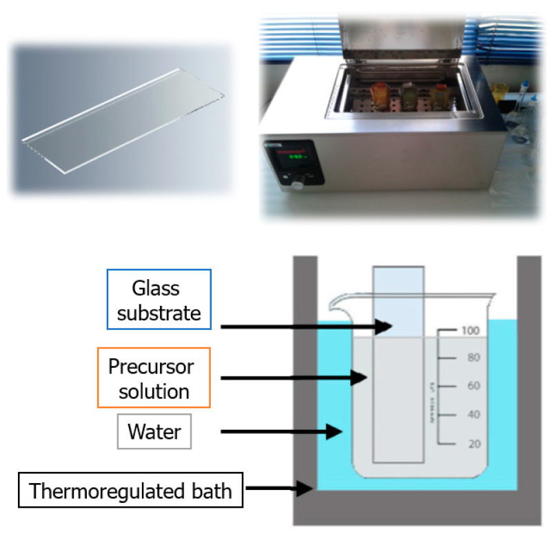 PMC10146886 – molecules-28-03626-f006