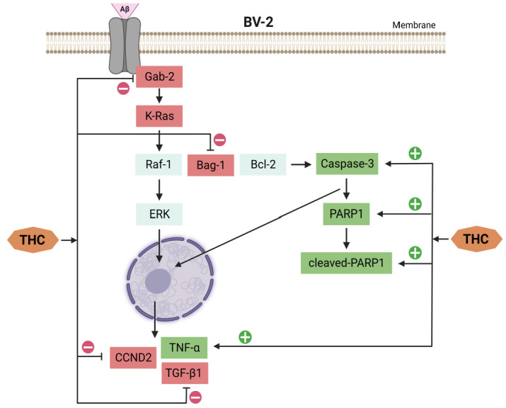 PMC10179939 – molecules-28-03734-f008