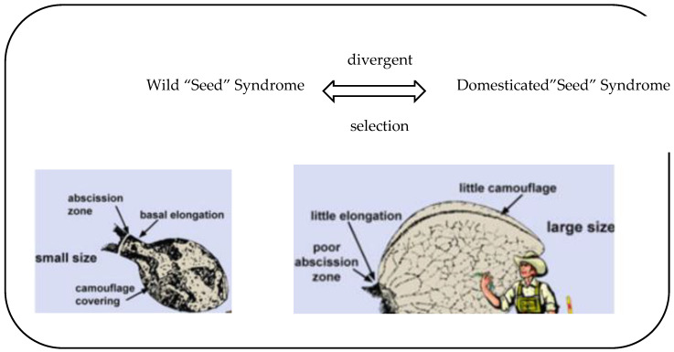 PMC10180461 – molecules-28-03806-f002