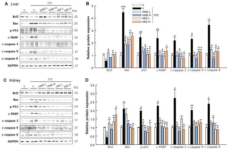 PMC10179809 – molecules-28-03814-f005