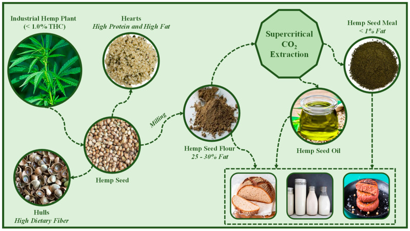 PMC10180460 – molecules-28-03849-f003