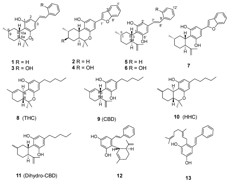 PMC10361207 – molecules-28-04162-f001
