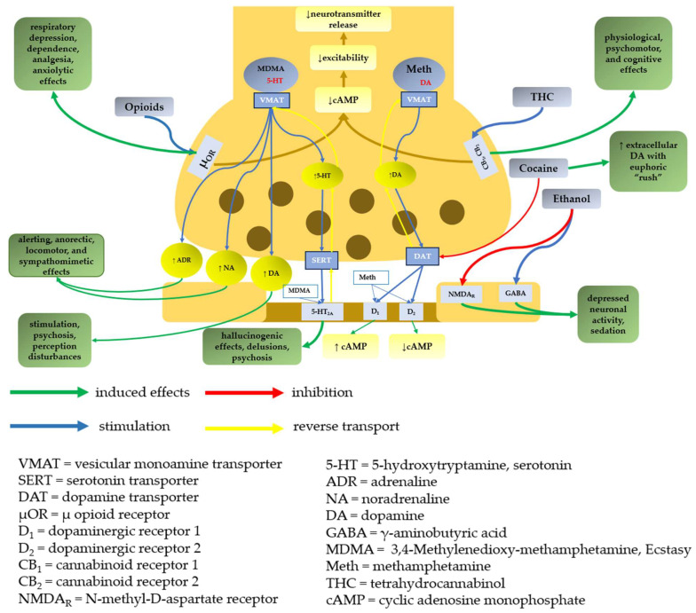 PMC10343642 – molecules-28-04969-f001