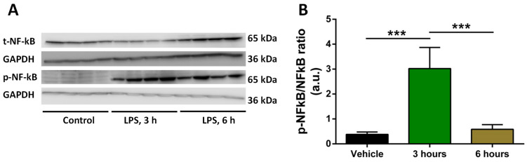 PMC10343240 – molecules-28-04991-f001