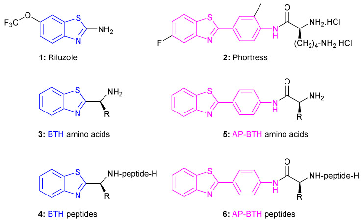 PMC10385376 – molecules-28-05412-f001
