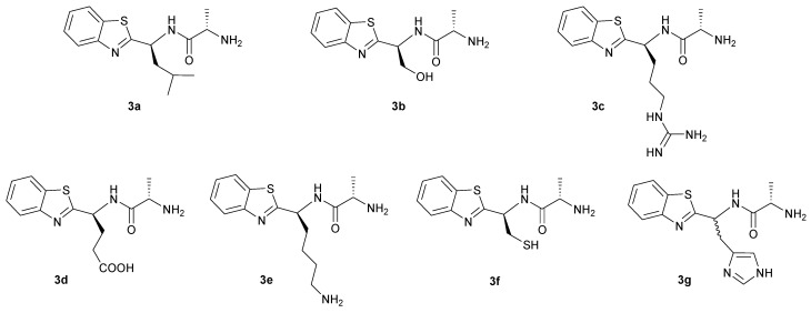 PMC10385376 – molecules-28-05412-f002
