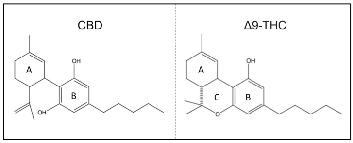 PMC10458707 – molecules-28-05980-f001