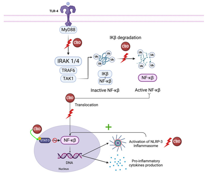 PMC10458707 – molecules-28-05980-f003