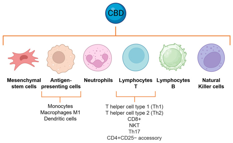 PMC10458707 – molecules-28-05980-f004